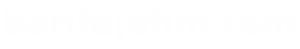 logo beritajatim